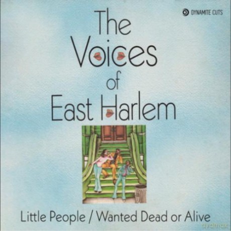 The Voices Of East Harlem: Little People [Winyl]