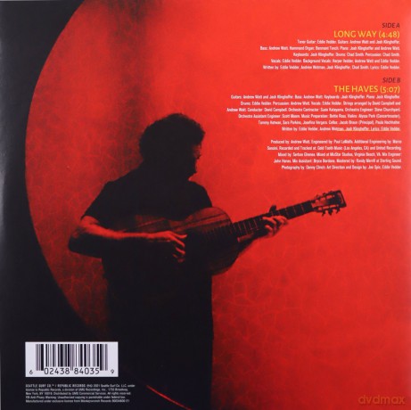 Eddie Vedder: Long Way [Winyl]