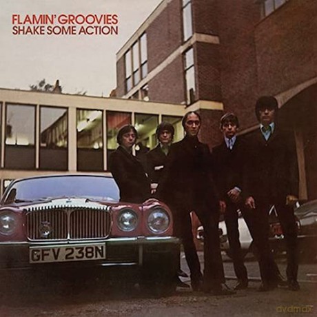 Flamin Groovies: Shake Some Action [Winyl]