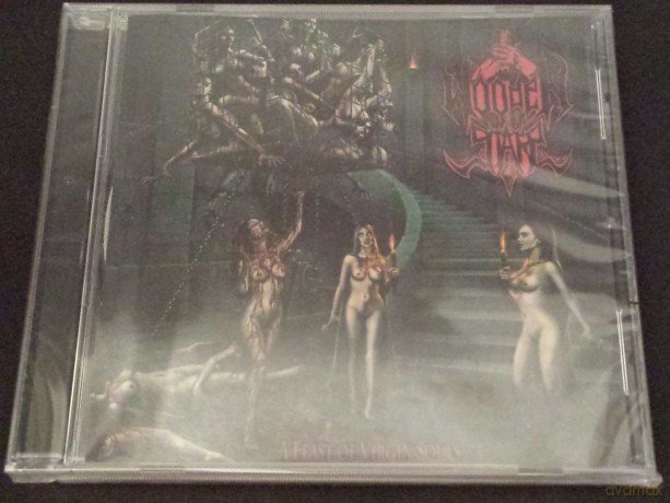 Wooden Stars: A Feast Of Virgin Souls [CD]