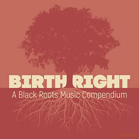 Birthright A Black Roots [2CD]