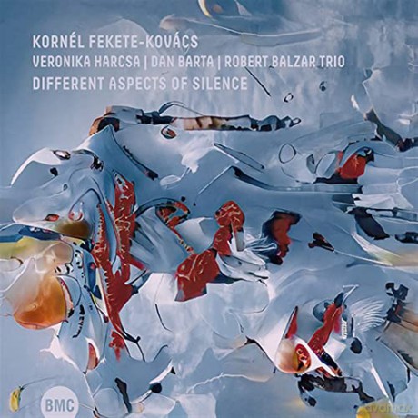 Kornel Fekete Kovacs: Different Aspects Of Silence [CD]