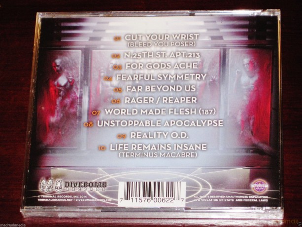 Hidden: Fearful Symmetry [CD]