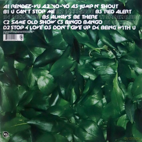 Basement Jaxx: Remedy [Winyl]