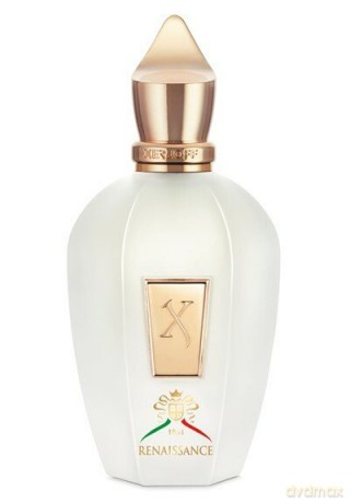 XerJoff Renaissance - Woda Perfumowana - Volume: 100 ml