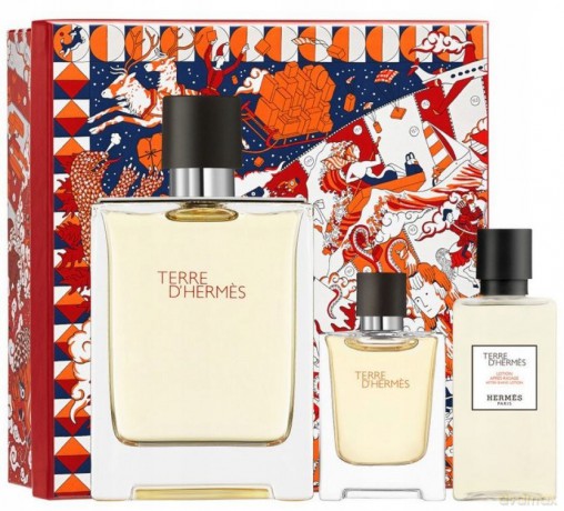 Hermes Terre D´ Hermes - Woda Toaletowa 100 ml + aftershave 40 ml + Woda Toaletowa 12.5 ml