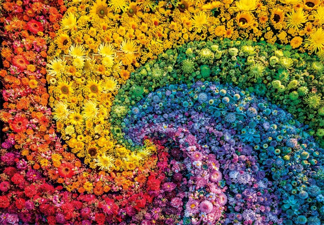 CLEMENTONI 1000 el. Compact Colorboom Collection [PUZZLE]