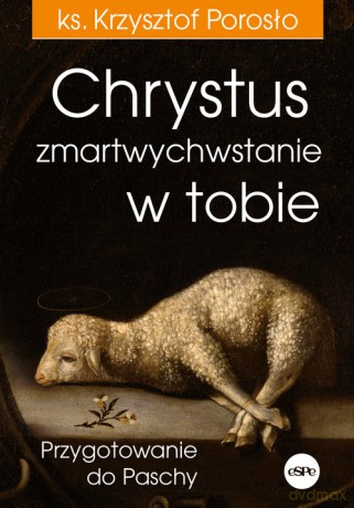 Chrystus zmartwychwstanie w tobie - Krzysztof Porosło [KSIĄŻKA]