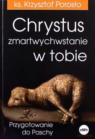 Chrystus zmartwychwstanie w tobie - Krzysztof Porosło [KSIĄŻKA]