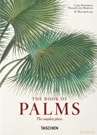 Martius. The Book of Palms. 40th Ed. - H. Walter Lack [KSIĄŻKA]