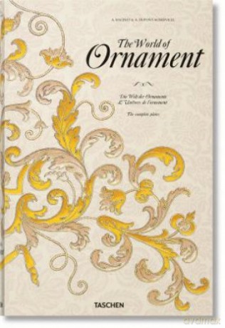 The World of Ornament [KSIĄŻKA]