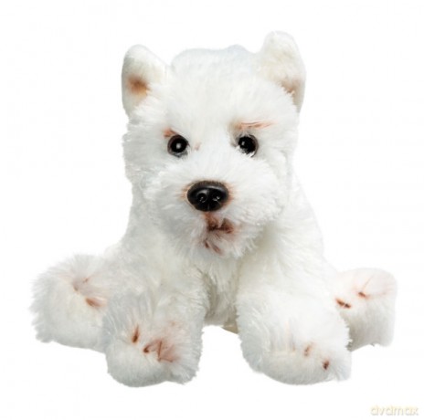 Pies West Highland Terrier