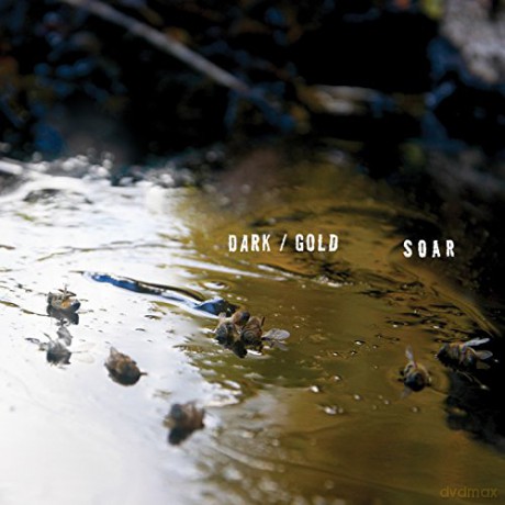 Soar: Dark/Gold [KASETA]