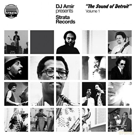Dj Amir Presents Strata Records-The Sound Of Detroit Volume 1 [3xWinyl]