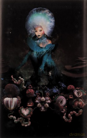 Bjork: Fossora [KASETA]