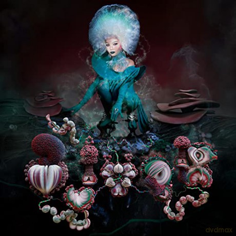 Bjork: Fossora (Turquoise Cassette) [KASETA]