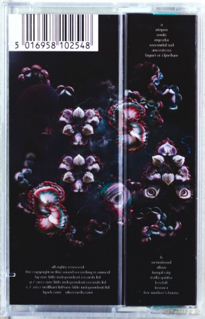 Bjork: Fossora (Turquoise Cassette) [KASETA]