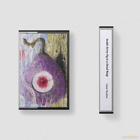 Lunar Vacation: Inside Every Fig Is A Dead Wasp [KASETA]