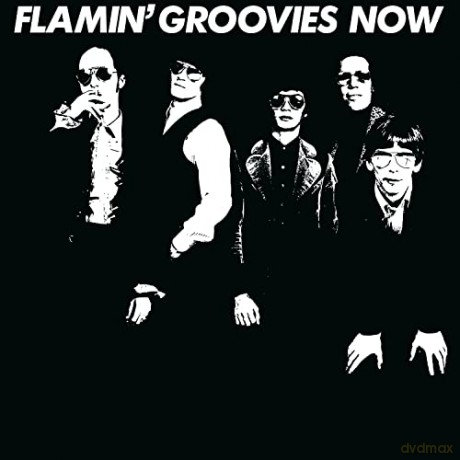 Flamin Groovies: Now (Coloured) [Winyl]