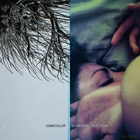 Cubicolor: Sometime Not Now [2xWinyl]
