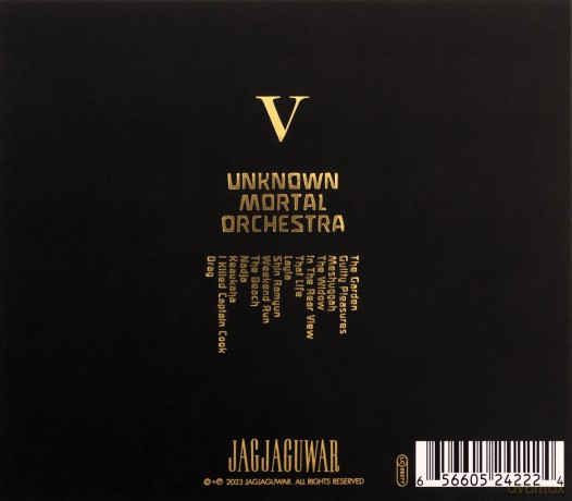 Unknown Mortal Orchestra: V [CD]