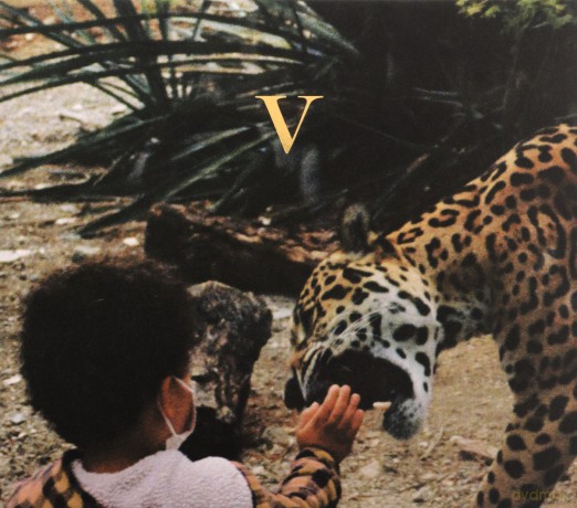 Unknown Mortal Orchestra: V [CD]