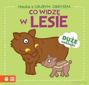 Nauka z grubym obrysem. Co widzę w lesie [KSIĄZKA]