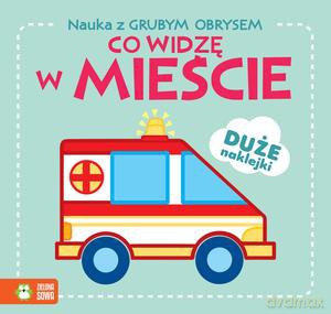 Nauka z grubym obrysem. Co widzę w mieście [KSIĄZKA]