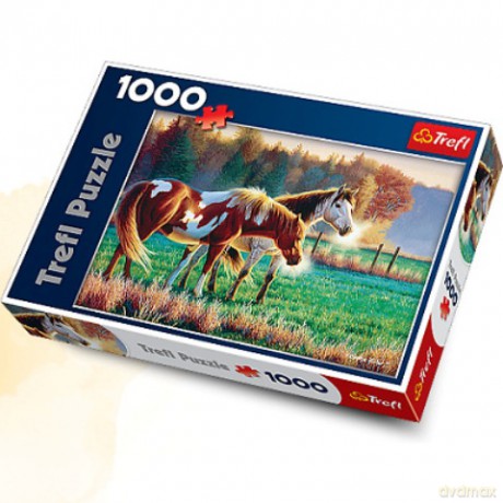 TREFL 1000 Mrozny poranek na pastwisku 10298 [PUZZLE]