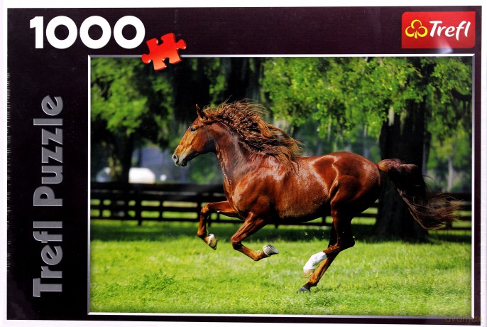 TREFL 1000 El. Koń - Galop 10201 [PUZZLE]