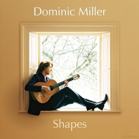 Dominic Miller: Shapes [CD]