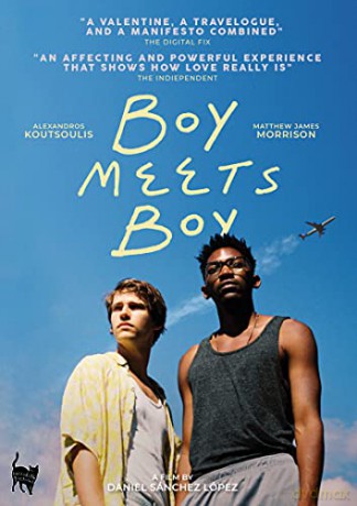 Boy Meets Boy [DVD]
