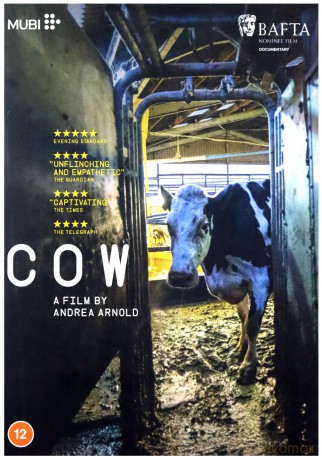 Cow (Krowa) [DVD]