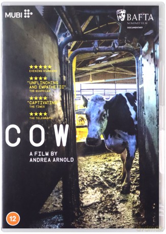 Cow (Krowa) [DVD]