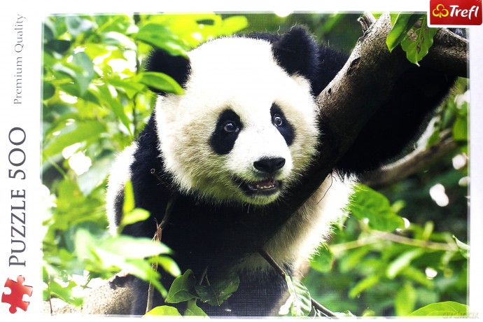 TREFL 500 el. Panda 37142 [PUZZLE]