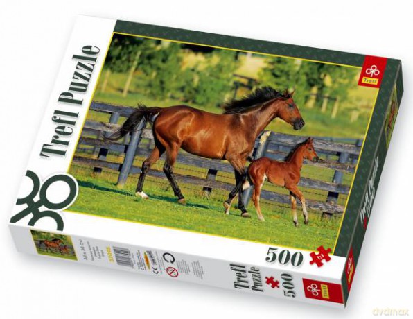 TREFL 500 Pierwszy Spacer Źrebaka 37095 [PUZZLE]
