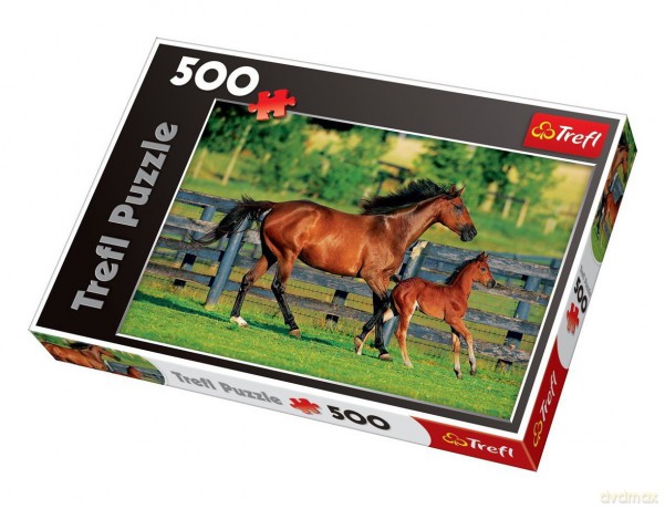 TREFL 500 Pierwszy Spacer Źrebaka 37095 [PUZZLE]