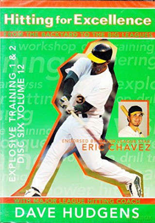 Hitting For Excellence 4 [DVD]