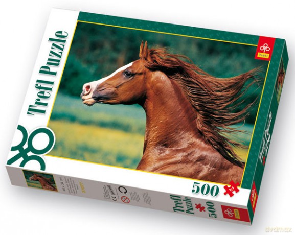 TREFL 500 el. Gobelin, Arab, Stadnina Koni Niewierz 37077 [PUZZLE]