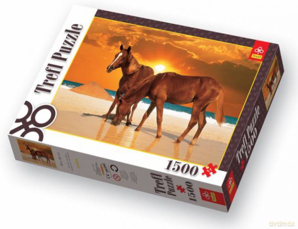TREFL 1500 el. Rumaki Na Plaży 26093 [PUZZLE]