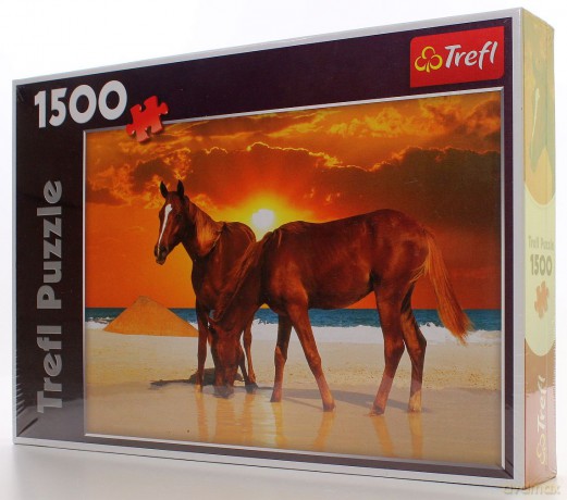TREFL 1500 el. Rumaki Na Plaży 26093 [PUZZLE]