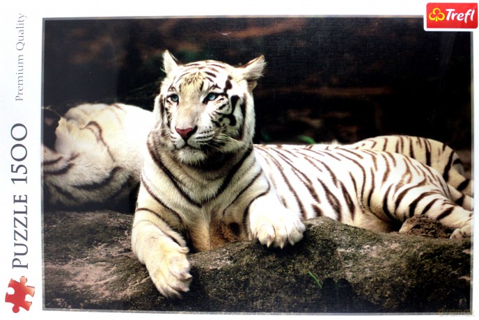 TREFL 1500 el. Tygrys Bengalski 26075 el. [PUZZLE]