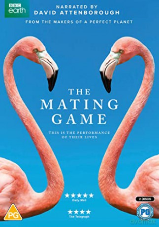 The Mating Game (Gra godowa) [2DVD]