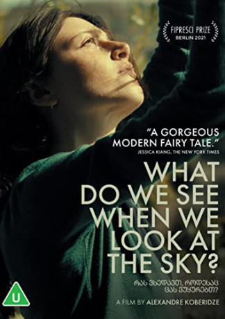 What Do We See When We Look At The Sky? (Co widzimy, patrząc w niebo?) [DVD]