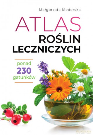 Atlas roślin leczniczych - Małgorzata Mederska [KSIĄŻKA]