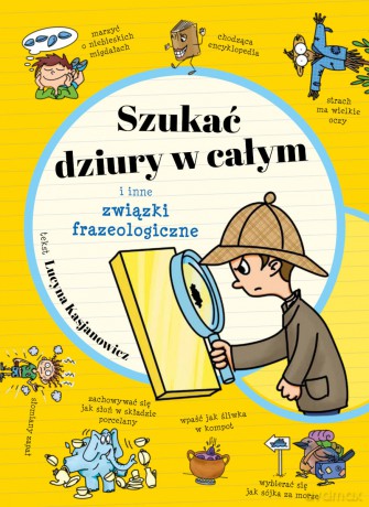 Szukać dziury w całym i inne związki frazeologiczne - Lucyna Kasjanowicz [KSIĄŻKA]