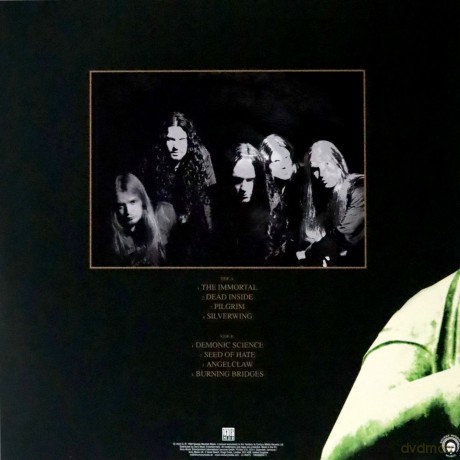 Arch Enemy: Burning Bridges (Re-issue 2023) [Winyl]