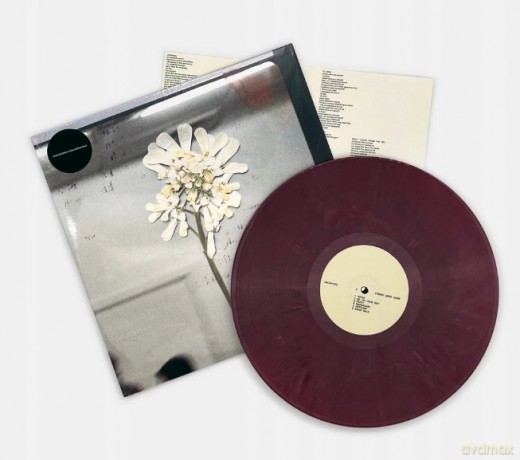 Daughter: Stereo Mind Game (Limited) [Winyl]