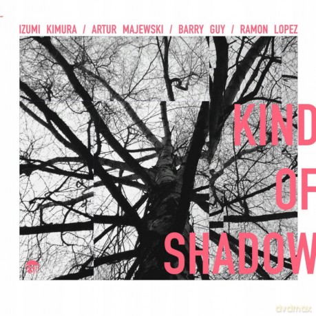 Izumi Kimura, Artur Majewski, Barry Guy, Ramon Lopez - Kind Of Shadow [CD]