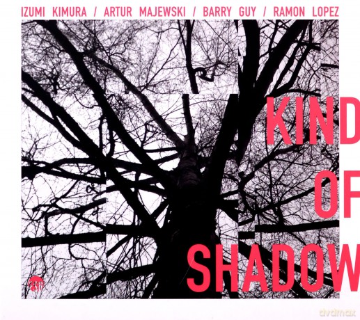Izumi Kimura, Artur Majewski, Barry Guy, Ramon Lopez - Kind Of Shadow [CD]